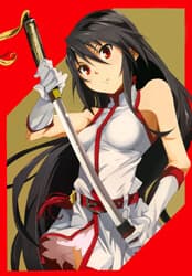 Akame ga KILL! ZERO - Akame ga kill Zero