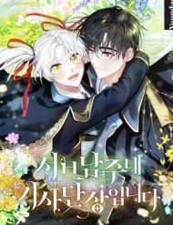 Đoàn Trưởng Kỵ Sĩ Của Nam Phụ - Đoàn Trưởng Kỵ Sĩ Của Nam Phụ