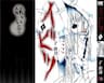 IBITSU (ryou haruka) - 