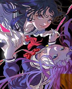 Khi Đóa Hoa Sẫm Màu Nở Rộ - 