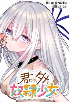 Kimi janakya Dame na Dorei Shoujo - 