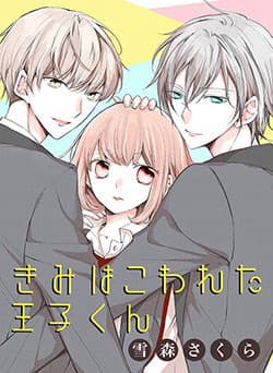 Kimi wa Kowareta Ouji-kun - Cậu là hoàng tử hư hỏng