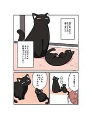 Kuroneko No Ohanashi - Kuroneko No Ohanashi