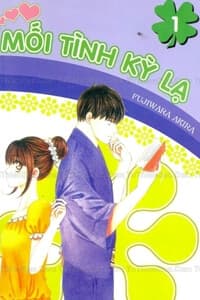 Mối tình kỳ lạ - 