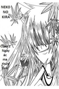 Neko No Kira - sát thủ nhà mèo, 