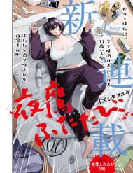 Nighthawk Returns - Nighthawk Returns