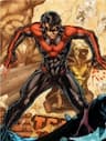 Nightwing - 