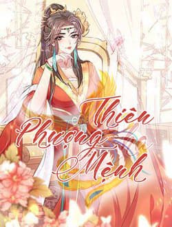 Phượng Mệnh Vi Hoàng - 