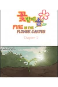 Pine in the Flower Garden - 