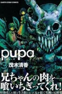 Pupa - 