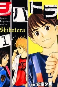 Shibatora - 