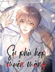 Sự Phù Hợp Muộn Màng - Sự Phù Hợp Muộn Màng