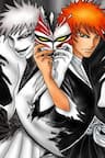 Thần Chết Ichigo - Ichigo sứ giả thần chết, Bleach