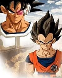 Thế Giới Ngọc Rồng Sal - Dragon Ball Sai, DRagon Ball Sal, 7 ( Bảy ) Viên Ngọc Rồng