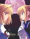 Type-Moon Complex X - 