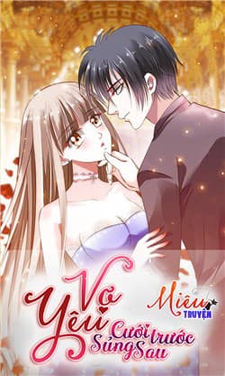 Vợ yêu cưới trước sủng sau - 