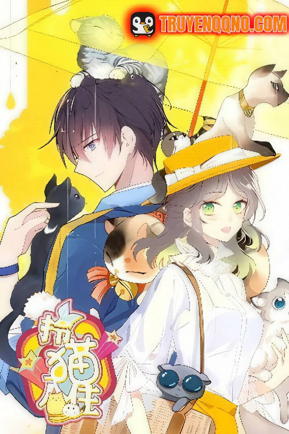 Xách Mèo Vào Ở - 