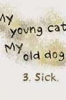 Mèo Con và Chú Chó Già Của Tôi -